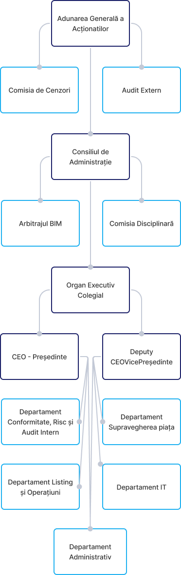 Structura Organizationala