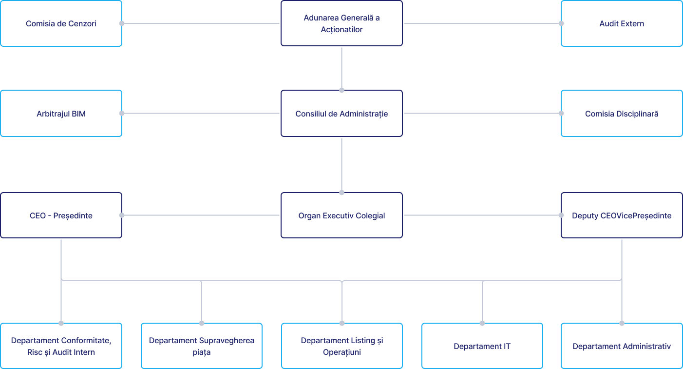 Structura Organizationala